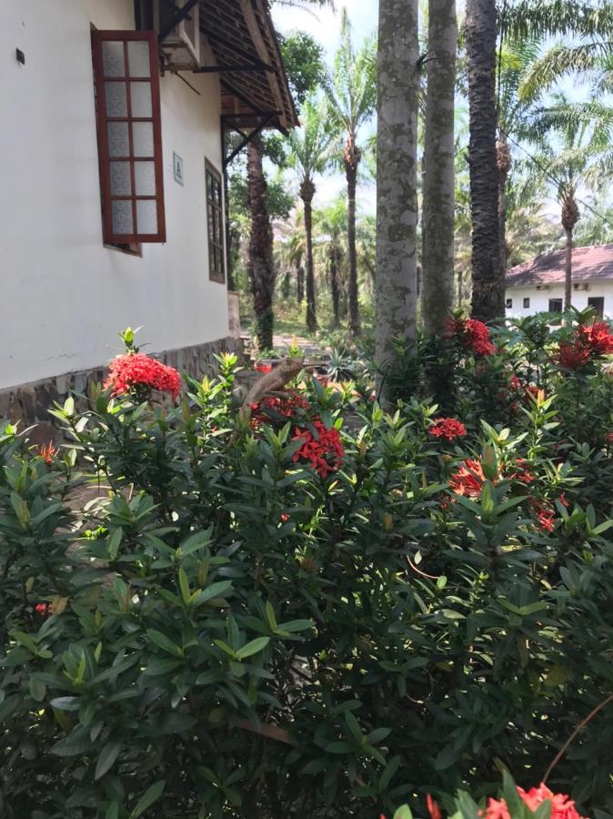 Palm Garden House Hotel Quang Tri Eksteriør billede