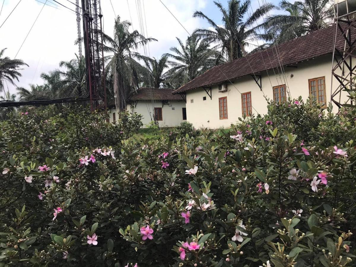 Palm Garden House Hotel Quang Tri Eksteriør billede