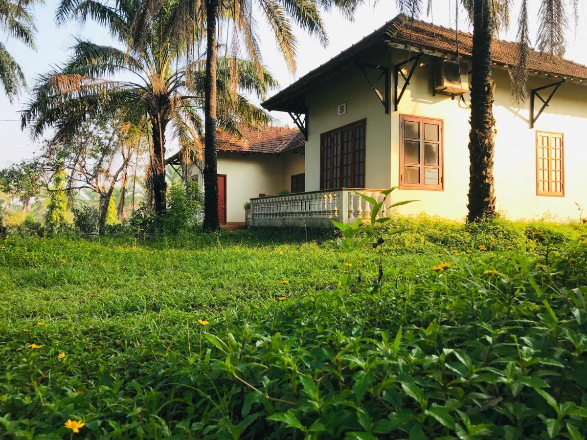 Palm Garden House Hotel Quang Tri Eksteriør billede